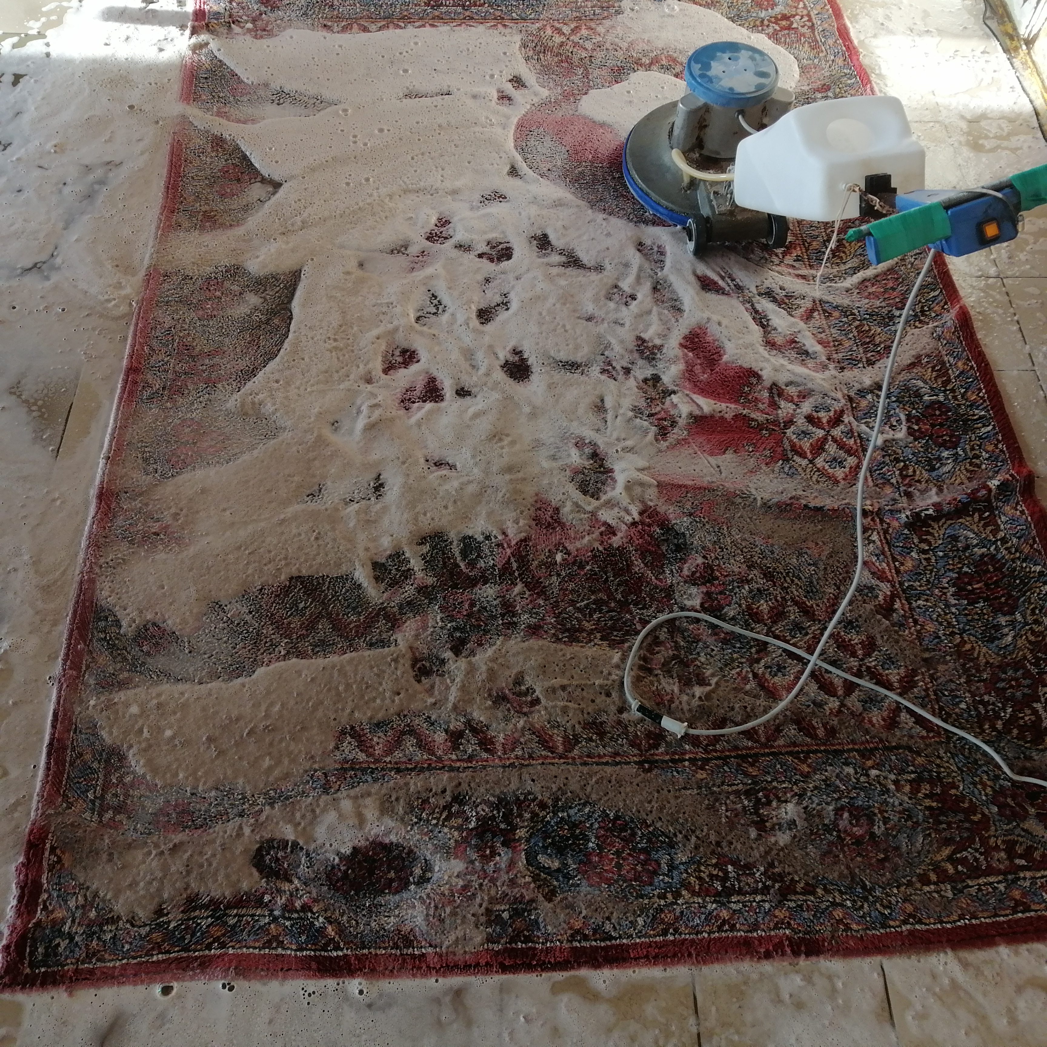 Химчистка ковров в Могилеве на дому с бесплатной доставкой